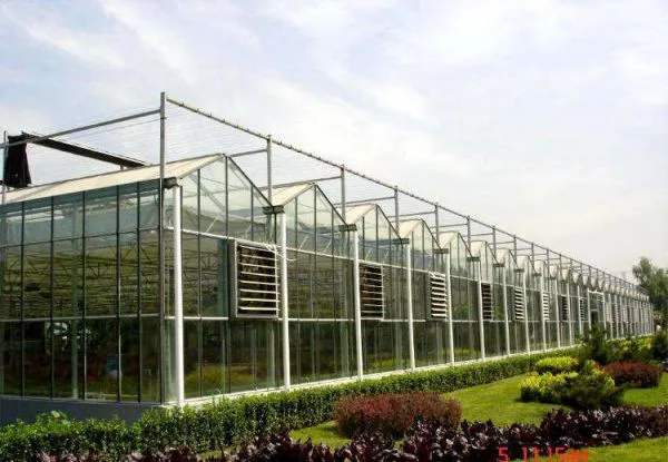 Large Size Multispan Glass Greenhouse as Exhibition Hall photo-5