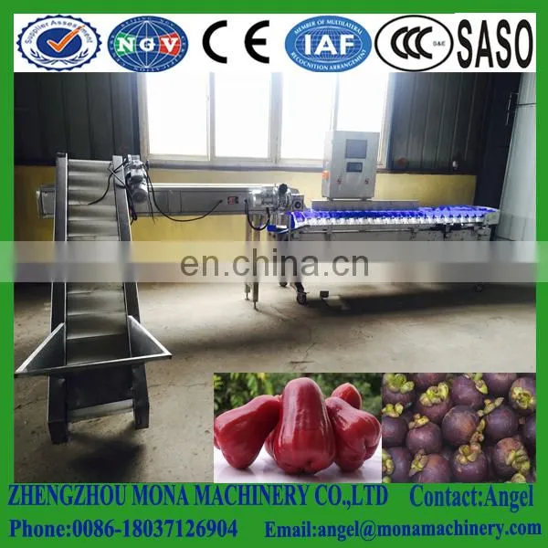 Factory Sales Mango Orange Waxing and Grading Machine , Weight Sorting Machine photo-3