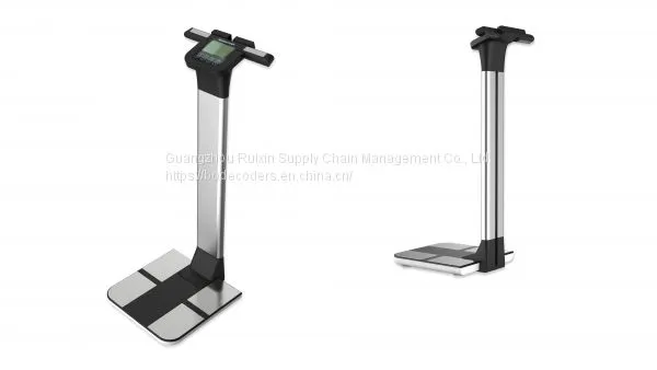 Bodecoder Chl-818 Body Composition Analyzer With App and Software photo-3