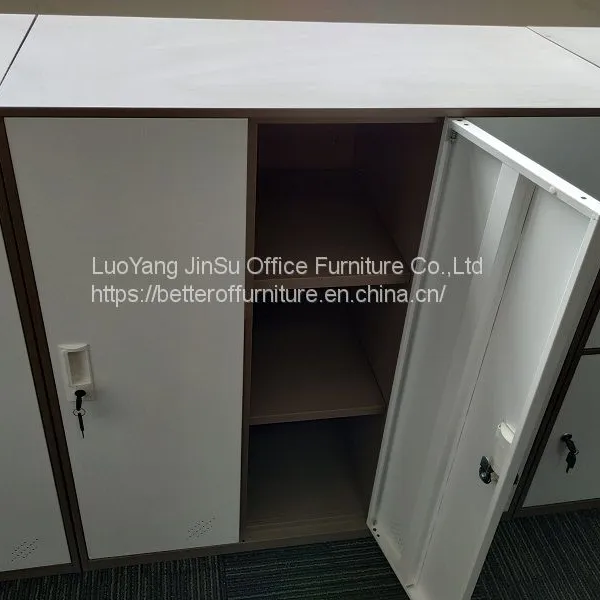 Office Furniture Storage Clothes Two Door Steel Locker for Staff Gym photo-5
