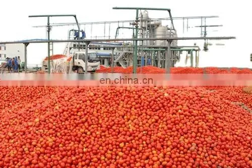 Genyond Ground Peeled Tomatoes Marinara Sauce in Food Processing Field photo-4