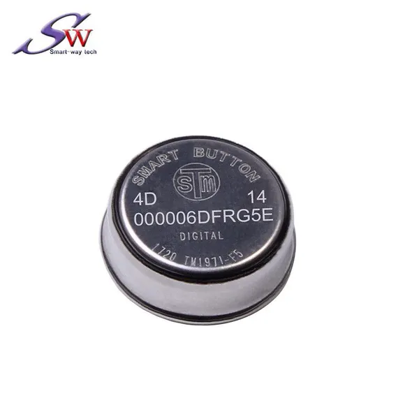 256-битный DS1971 Ibutton Key TM1971 с пластиковым держателем