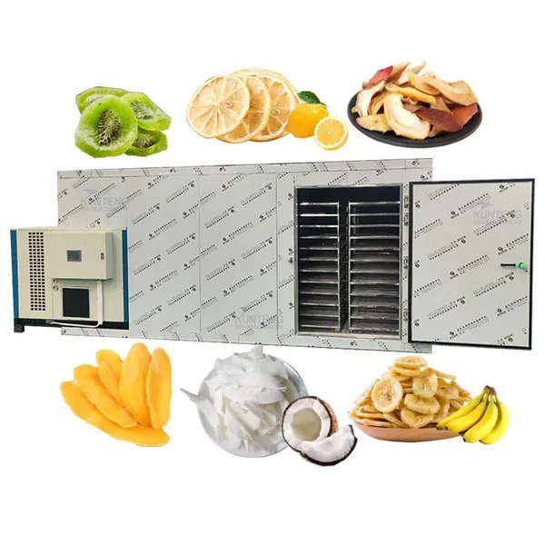 Automatic Line for Producing Dried Fruits Chips Fruit Dryer Apple Banana Lemon Mango Drying Machine EPC