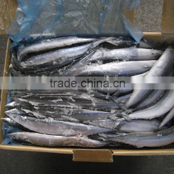 120-140G Frozen Pacific Saury From China photo-6
