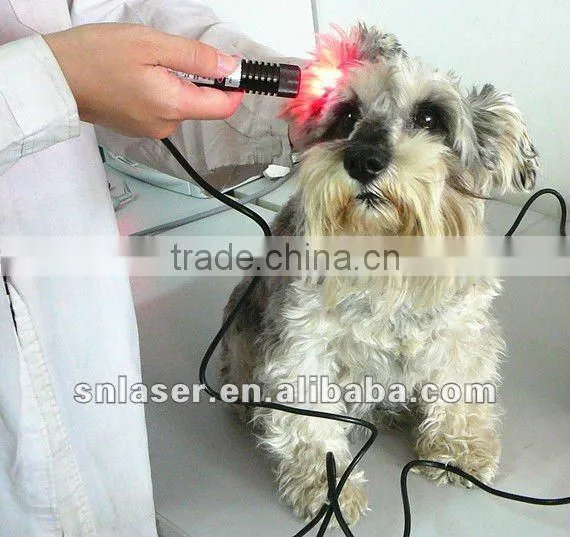 660nm & 810nm Veterinary Laser Instrument photo-4