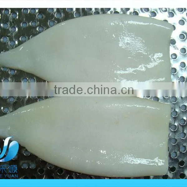(squid Tube Squid Wings) Frozen Illex Squid photo-4