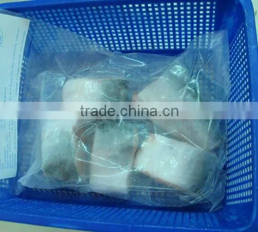 FROZEN PANGASIUS STEAK