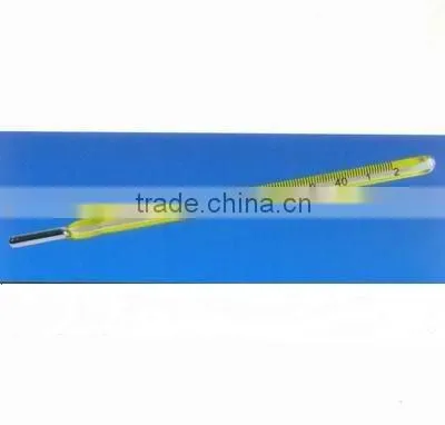 Mercury Clinical Thermometer