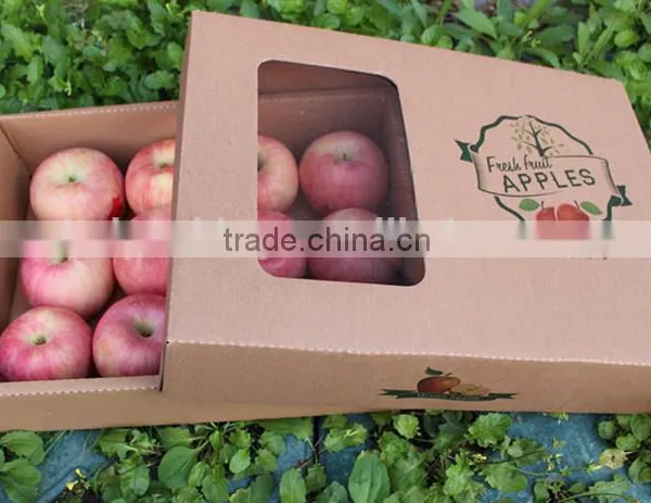 China Supplier Cheap Fruit Packaging Box photo-6