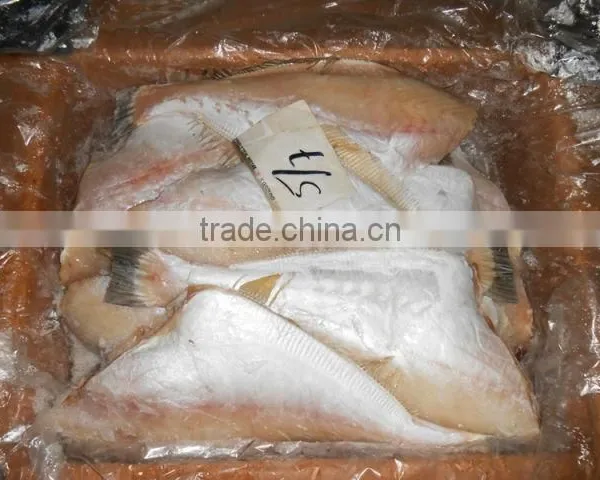 FROZEN LEATHER JACKET FISH photo-5