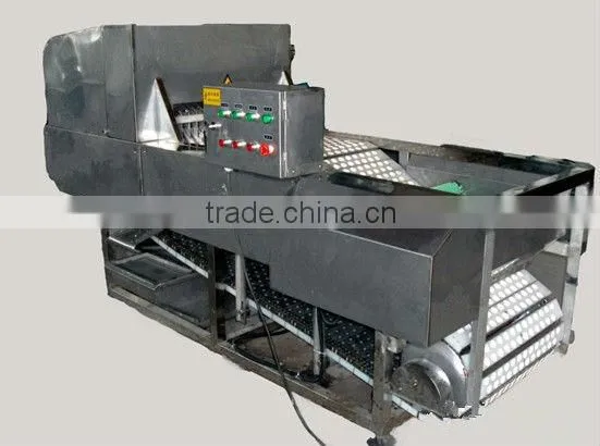 Cherry Seed Removing Machine
