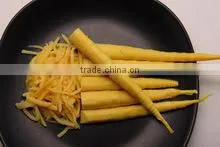 Bamboo Shoot