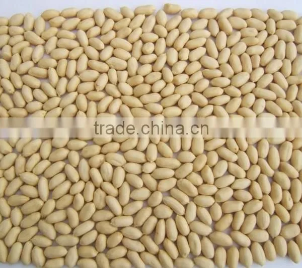 Blanched Peanuts