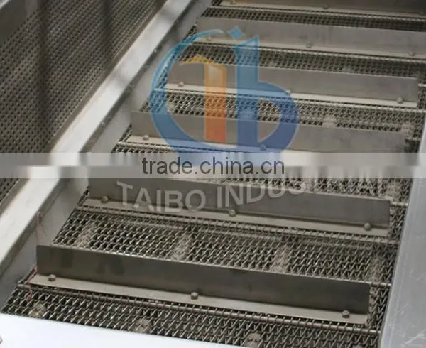 Fruit Processing Machinery Washer Type Apple Washing Machine photo-4