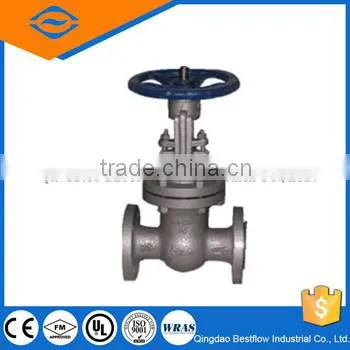 Stainless Steel Flanged Gate Valve photo-4