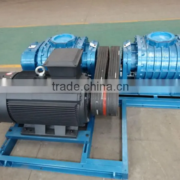 High Pressure Roots Blower photo-3