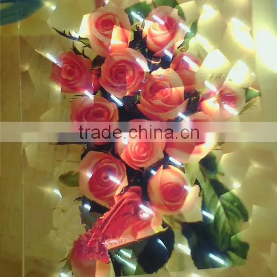 Photo Paper 3D Cold Laminating Film photo-6