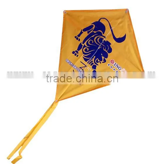 Kite