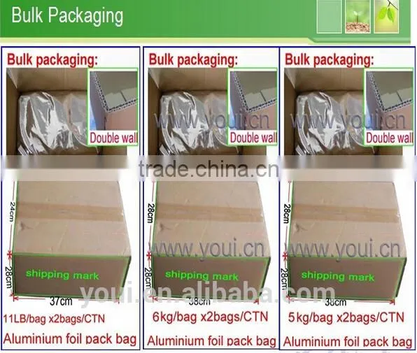 Baken Snacks Pickle Flavor Fried Crackers Hot Sale photo-5
