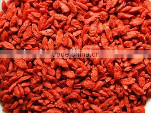 Chinese Goji Berry(655)