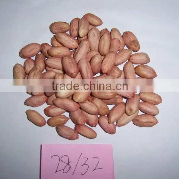 Cheap Price of Peanuts photo-2