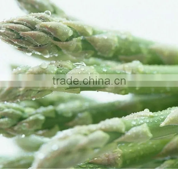 IQF Green Asparagus photo-2