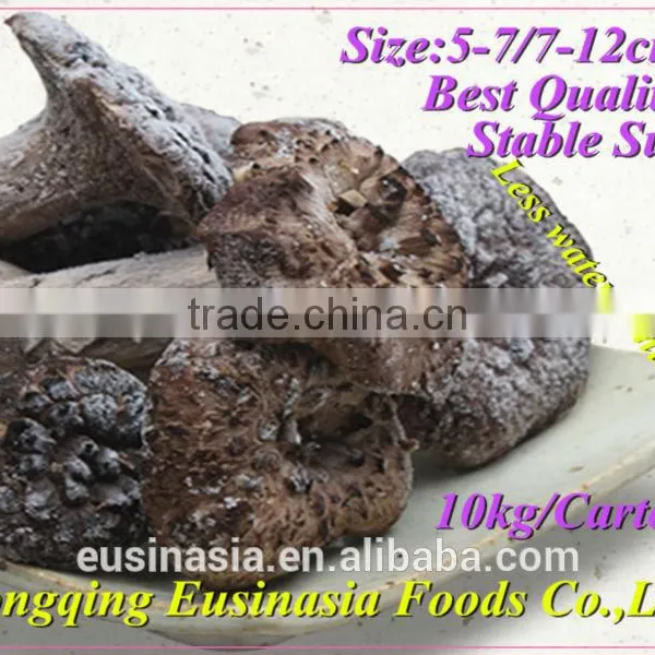 Frozen Mushroom Sarcodon Aspratus