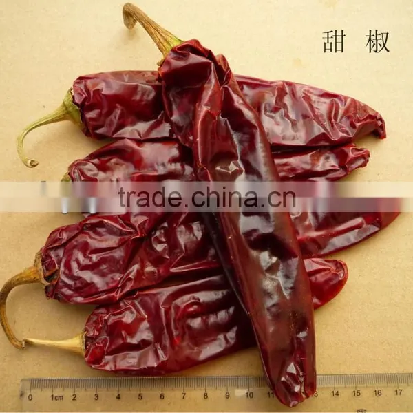 Red Paprika Pods photo-3