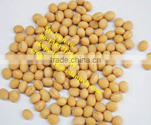 Bean Peeling Machine /Broad Bean Skin Removing Machine photo-5