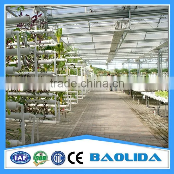Hydroponic Greenhouse photo-2