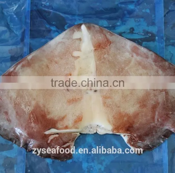 2017 New Arrived Frozen Vietnam Squid With Best Price photo-2