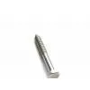 Stainless Steel Hex Tapping Screws