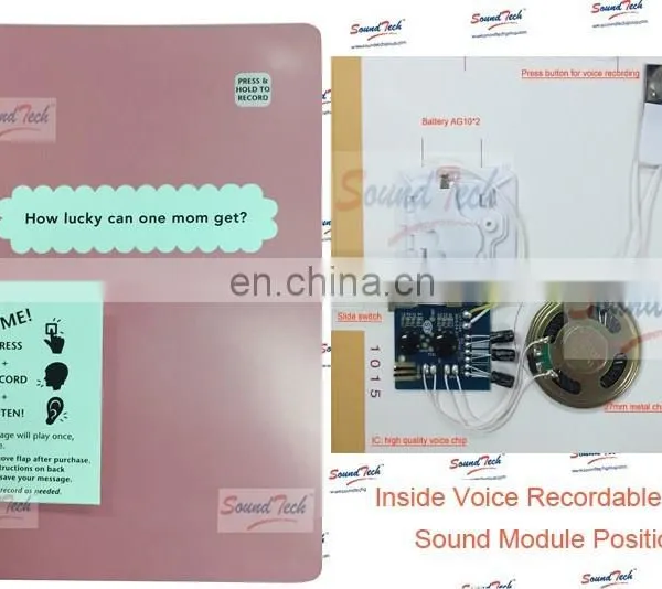 Recordable Programmable Sound Chip for Greeting Card photo-4