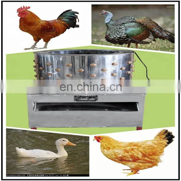 BIRDKING Automatic Chicken Plucker Plucking Machine photo-4