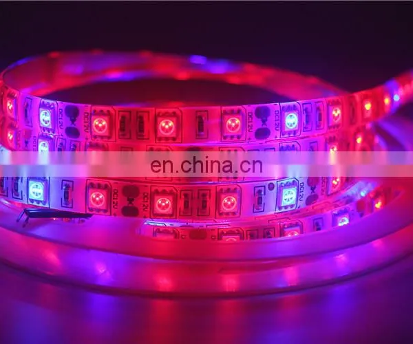 DC12V LED Plant Grow Light Full Spectrum LED Strip Light SMD 5050 Chip For Greenhouse Hydroponic Plant photo-5