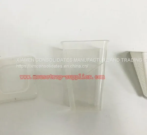 Reusable Plastic Fruit Fly Live Catch Trap Insects Bug Catcher photo-2