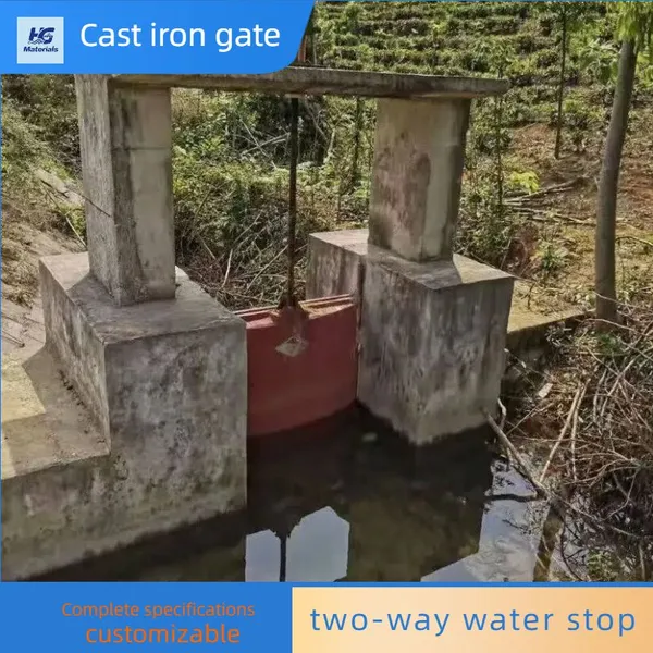 Cast Iron Gate Hoist, Integrated Gate and Sluice, Channel Water Conservancy Gate, Strong Corrosion Resistance photo-2