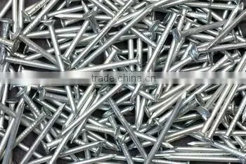 Produce All Kinds of Common Nail