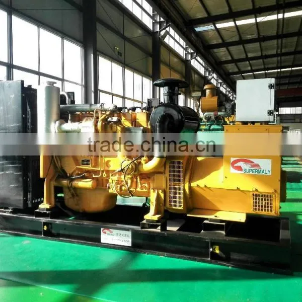 250kva Natural Gas Generator by Reliable Chinese Gas Engine photo-3