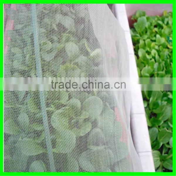 Hot Sale Green Anti Hail Net, Agricultural Shade Net, Garden Anti Insect Net photo-4
