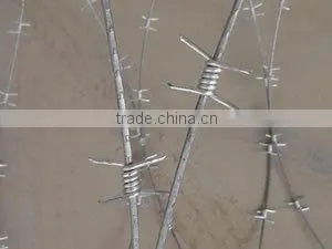 Anping Factory Low Price Barbed Wire photo-2