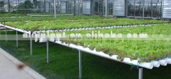 Agricultural Greenhouse Flat Hydroponics photo-3