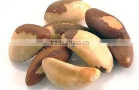 BRAZIL NUTS - CHESTNUTS - in Shell and Shelled