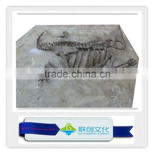 High Quality Original Size Dinosaur Fossil photo-6
