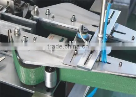 Automatic Blister Packing Production Line photo-5