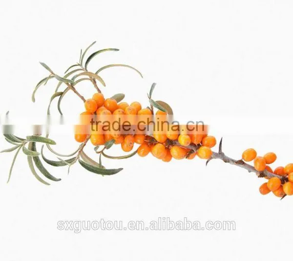 Organic Green Seabuckthorn Fruit Oil photo-3
