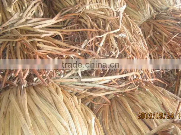 Water Hyacinth Fiber _ Qiu Qiu : 2598494113