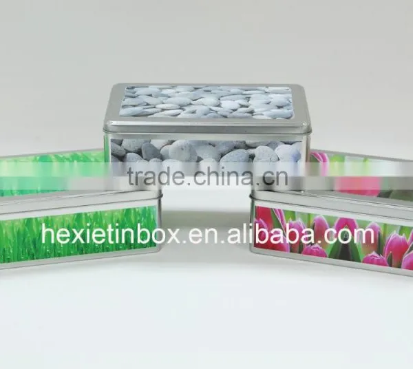 Best Chinese High Quality Cookie Tin Box photo-2