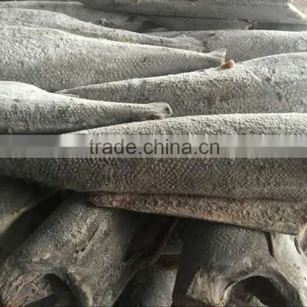 Good Quality Frozen HGT Hamachi in 2016 photo-2