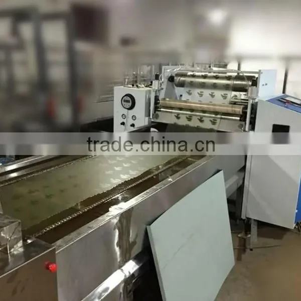 Professional Hydrographic Printing Equipment, Transfer Printing Productine Line NO. LYH-WTPM052-1A Manufacturer photo-3